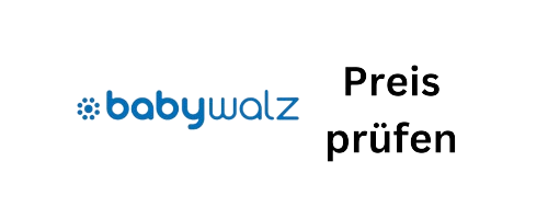 babywaltz-icon